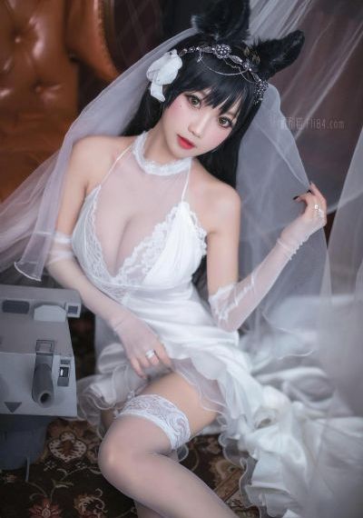 绿皮书免费看完整版