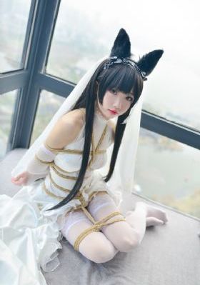 《新上海滩》免费看